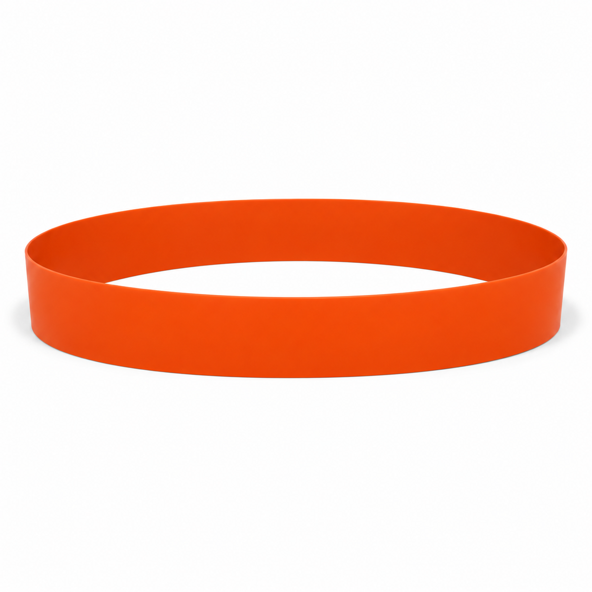 Maxi-Skimmer SSP/2 4 in Flat Polyurethane Replacement Belt 1 ft reach