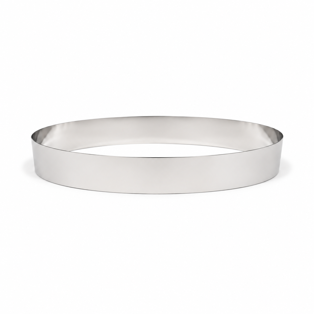 Maxi-Skimmer SSP/2 4 in Stainless Steel Replacement Belt 1 ft reach