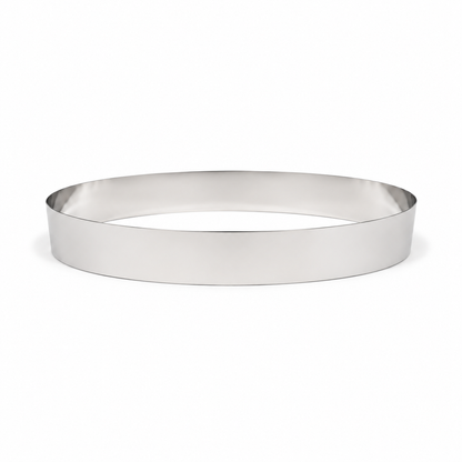Maxi-Skimmer SSP/2 4 in Stainless Steel Replacement Belt 1 ft reach