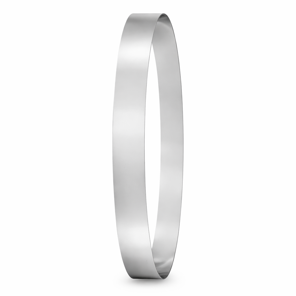 Mini-Skimmer stainless steel replacement belt 8 in reach alternate view
